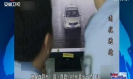 台湾迷途最新爆料新闻,揭秘事件背后惊人真相！”