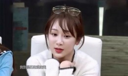 杨紫妈妈最新爆料视频,揭秘杨紫成长背后的感人故事