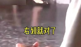 爆料绯闻视频大全最新下载,最新爆料绯闻视频大全下载全收录