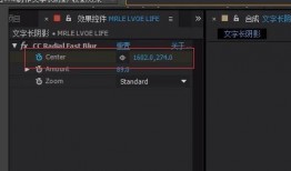 最新爆料文字特效视频在线观看,文字特效视频在线观看，震撼来袭！
