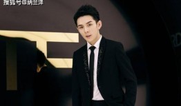 王子健爆料文章大全最新,揭秘娱乐圈不为人知的秘密与真相