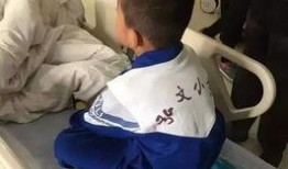 石家庄食堂爆料最新消息,食品安全问题引发关注