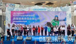 哈尔滨万达最新爆料,揭秘未来城市生活新地标