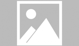 南宁武鸣爆料事件最新,揭秘背后真相与争议焦点