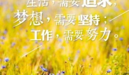 早安最新爆料图片高清,高清爆料图片揭秘，带你一睹为快！