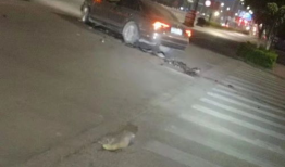 南宁武鸣爆料事件最新,揭秘背后真相与争议焦点