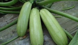 威远吃瓜最新事件爆料是真的吗,最新爆料真相揭秘