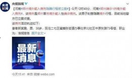 郑州毒王最新爆料,揭秘疫情背后的惊人真相