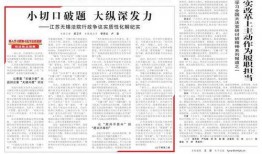 福建省最新爆料案件公布,揭秘背后惊人真相