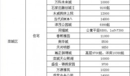 王排竞速最新爆料视频,速度与激情背后的故事
