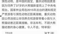 重庆问政最新爆料,揭露背后惊人真相