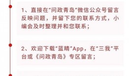 重庆问政最新爆料,揭露背后惊人真相