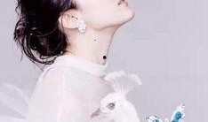 刘亦菲最新爆料视频,幕后故事与心路历程