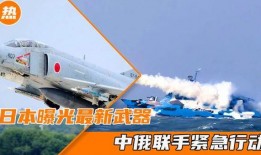 中国新武器爆料最新消息,革命性军事技术引领未来战场