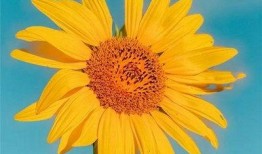 早安最新爆料图片高清,高清爆料图片揭秘，带你一睹为快！