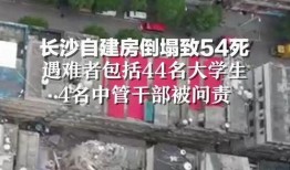 长沙最新事件爆料新闻,揭秘XX真相，引发社会广泛关注