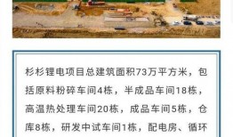 眉山八卦爆料案件最新进展,最新进展揭秘，疑云重重真相渐明