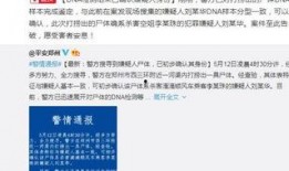 南航安全员爆料案件最新,最新航班安全事件深度解析